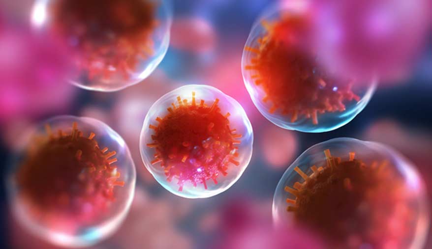 Stem Cell Therapy - Canyon Speciality Surgery Center Stem Cell Therapy - Canyon Speciality Surgery Center