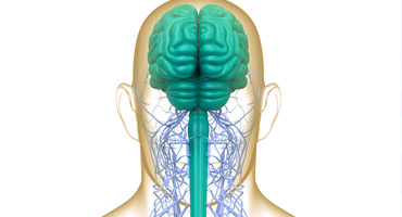 Occipital-Nerve-Block